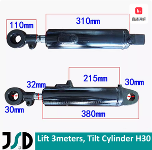 Cilindro hidráulico de inclinación para carretilla elevadora, Gama Completa, entrega rápida personalizada - Product Image 3