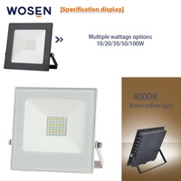 Projecteur LED Extérieur Anti-Éblouissement 4000K Étanche pour Jardin, Parc, Marine, SMD 50W 100W, Faisceau 120°, Prix de Gros