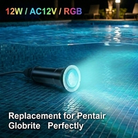 Lampu Kolam Renang LED Tanpa Niche IP68 Kabel Karet 2,5 Meter AC12V 12W dengan Bahan Bodi ABS Harga Pabrik