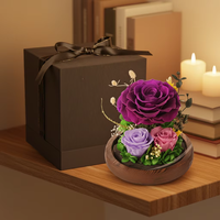 Roses avec lumières LED, cadeaux de Noël pour femmes, cadeaux d'anniversaire pour maman, rose éternelle illuminée dans un dôme en verre
