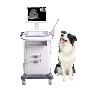 SY-A019 Available Animal Vet Ultrasound Scanner Price for Sale plastic wholesale Trolley Ultrasound Scanner Price