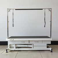 Table de toilettage électrique pour animaux de compagnie EURVET à double commande, équipement vétérinaire, mécanisme de levage robuste