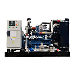 닭 분뇨 용 1mw 3mw 100kva 125kva 250kw 발전기 소형 바이오 가스 엔진 동력 <span class=keywords><strong>Chp</strong></span> 전기 발전기 가격 공장 - Product Image 3