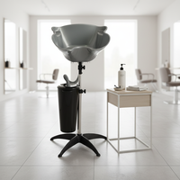 Bac de lavage pour salon de beauté et spa capillaire avec support de shampoing et un seau, prix de gros, prix abordable, provenance Chine