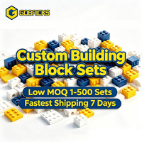 Ensembles de blocs de construction personnalisés Gobricks, modèle de jouet en briques de construction personnalisées, briques d'assemblage DIY, kit de blocs de construction en plastique OEM MOC