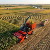 Moissonneuse-broyeuse automotrice 4QZ2100, machine polyvalente pour tiges de maïs, herbe à éléphant et diverses cultures fourragères