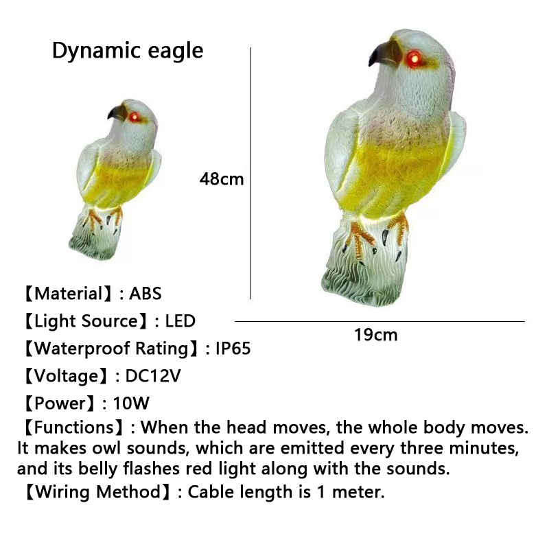 Aigle dynamique