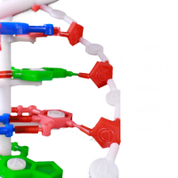 Modèle de double hélice d'ADN, modèle scientifique médical coloré pour l'éducation et l'exposition