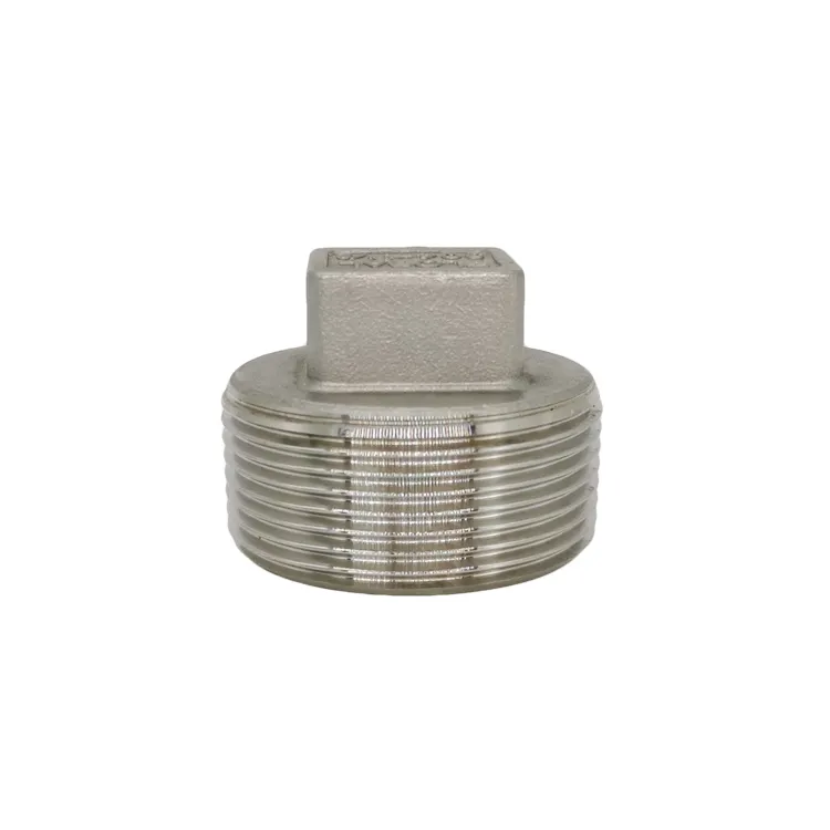 Stainless steel 304 1/4" 3/8" 1/2" 3/4" 1" 1-1/4' 1-1/2" BSP Male Thread Pipe Fitting Square Head Plug