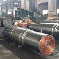 Rouleau en acier forgé pour laminoir continu, rouleaux de machines métallurgiques, marque NSK/Lyc, DMC-SCR-0057, résistant à la chaleur