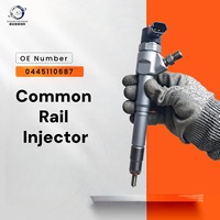 Injecteur de moteur diesel 0445 110 687, ensemble d'injecteurs de carburant adapté aux injecteurs Common Rail 0445110687, moteur YN