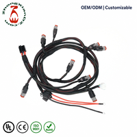 Faisceau de câbles personnalisé multi-branques avec connecteurs étanches en cuivre étamé 600V, fils d'alimentation 10AWG et bornes annulaires en ligne