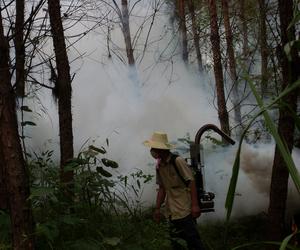 <span class=keywords><strong>Atomiseur</strong></span> de lutte antiparasitaire forestier, pulvérisateur dorsal, machine à nébulisation <span class=keywords><strong>thermique</strong></span> - Product Image 6