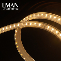 Bande lumineuse LED flexible intelligente sans fil à intensité variable haute tension 120 LED/m AC 220V IP65 étanche SMD2835 CCT 3000K-6000K PVC