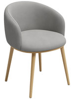 Chaise de salle à manger en métal de style nordique minimaliste moderne, confortable pour le bureau, la maison, la réception, les salons de thé et l'usage occasionnel