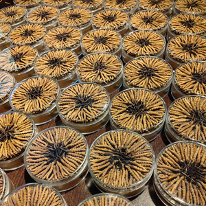 Fabrik Großhandel Cordyceps gesunde Nahrung hochwertige Cordyceps Sinensis <span class=keywords><strong>Tibet</strong></span> getrocknete Kräuter Dong cong xia cao - Product Image 2