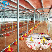 Nouvel ensemble complet d'équipements d'élevage de poulets entièrement automatiques en plastique et acier inoxydable, vente directe fabricant