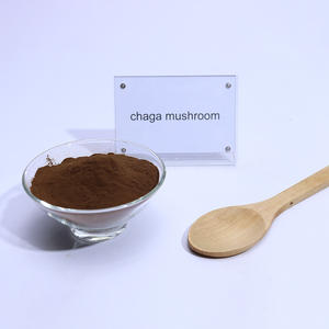 공장 공급 천연 차가 버섯 추출물 30% 다당류 분말 유기농 차가 버섯 분말 - Product Image 5