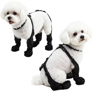 Sepatu Anjing Fishprincess Desain Baru dengan Celana Legging Anti Air, <span class=keywords><strong>Harness</strong></span> Anti Kotor, Aksesoris Pakaian Hewan Peliharaan - Product Image 1