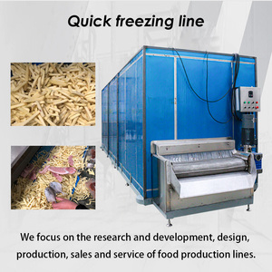 Nhiệt độ cực thấp liên tục đường hầm đóng băng nhanh-45-0 iqf cửa đơn thiết bị đóng băng nhanh động cơ năng suất cao - Product Image 2