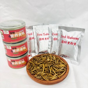 Vers de farine préservés durables, appâts naturels parfumés, leurres de pêche prêts à l'emploi, appâts frais pour les pêcheurs professionnels et les magasins. - Product Image 6