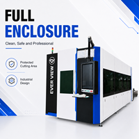 Machine de découpe laser à fibre CNC 3 axes EVER VIEW 1500W, fichiers PLT, haute productivité, épaisseur de coupe 0-10 mm pour l'acier inoxydable