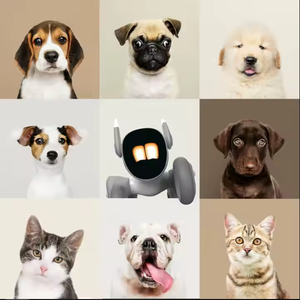 Meilleure qualité personnalisé fournisseur en gros en vrac bambin en plein air enfants Robots jouets pour enfants - Product Image 4