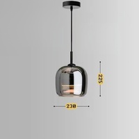 Vente flash : Lampe suspendue LED classique en verre fumé, idéale pour le salon, la chambre à coucher, le chevet, à économie d'énergie et à hauteur réglable