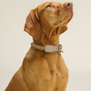 <span class=keywords><strong>Collar</strong></span> Personalizado para Mascotas de Cuero Vacuno Genuino de Fábrica Directa, Collares para Perros Elegantes Trenzados a Mano con Accesorios de Latón - Product Image 1