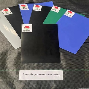 Geomembrana Impermeable <span class=keywords><strong>de</strong></span> HDPE para Líneas <span class=keywords><strong>de</strong></span> Producción, Revestimiento para Estanques <span class=keywords><strong>de</strong></span> Acuicultura - Product Image 6