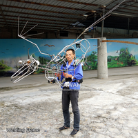Costume de Dragon kawaia fait à la main, Costume de dinosaure astronomique pour le parc de thème