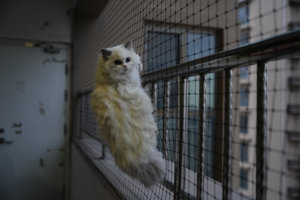 Offre Spéciale Pet Cat clôture sécurité balcon garde protection Nylon fil renfort Net - Product Image 6