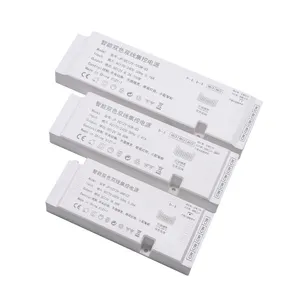 Hộ gia đình chiếu sáng siêu mỏng dẫn biến áp dẫn đèn điều khiển 36W 60W 100W DC12V 24V 12V tủ đèn cung cấp điện