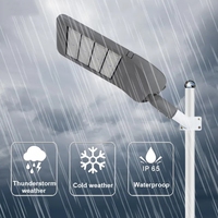 Lámpara Solar LED para Exteriores, Resistente al Agua, Precio de Fábrica, 100w 150w 200w 250w 300w