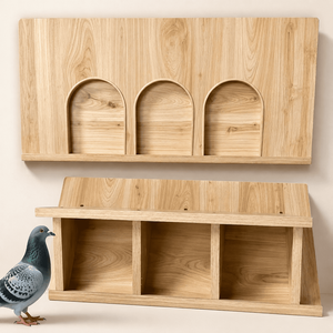 Porte d'entrée en bois écologique anti-évasion pour pigeonnier, trappe pour pigeons de course européens, porte d'accès multi-tailles pour cage à oiseaux toutes saisons - Product Image 3
