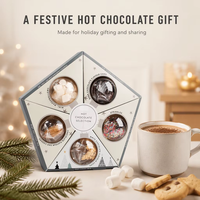 Coffret Cadeau Chocolat Chaud de Noël 5 Packs – Mélange de Cacao, Boules Décoratives, Guimauves, Sirop de Pain d'Épices, Garnitures pour Biscuits – Vente en Gros OEM