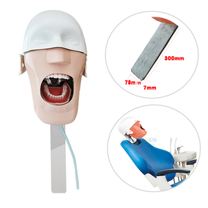 <strong>Dental</strong> <strong>Simulator</strong> Manikin Phantom Head <strong>Unit</strong> Student Practice Model with 28Pcs Typodont Teeth Medical Dentist Education Equipment - Product Image 2