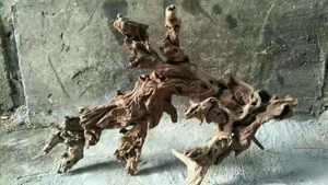 수족관 나무 물고기 탱크 장식 물고기 탱크 유목 도매 크기 30-60cm - Product Image 5