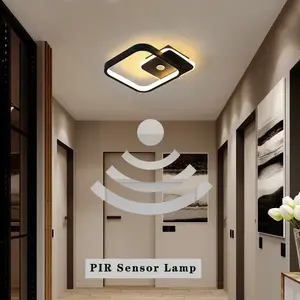 PIR Motion Sensor LED Ceiling Lamp for Aisle Corridor 220V Indoor 14w 16w Human Body Sensor LED Ceiling Lighting for Bedroom