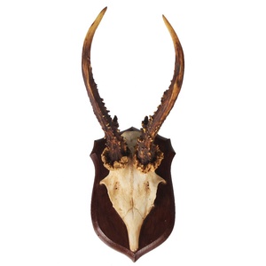 Decorazione da Parete con Teschio di Antilope Africana, Corna Intrecciate, Decorazione <span class=keywords><strong>in</strong></span> <span class=keywords><strong>Resina</strong></span> di Toro Longhorn - Product Image 1