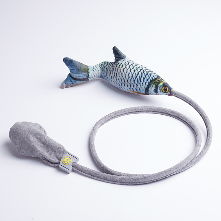 carpa cruciana