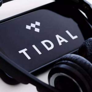 Suscripción a Tidal Premium, Música Tidal, Cuentas Tidal, Tidal Hifi Plus 6 Meses - Product Image 2
