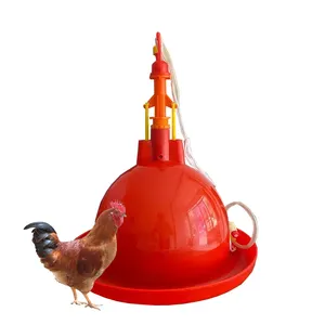 Poultry chicken house farming automatic bell drinker chicken automatic drinker for sale