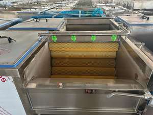 Máquina de lavado y pelado de rodillos de cepillo Industrial comercial de 500 kg/h - Product Image 4