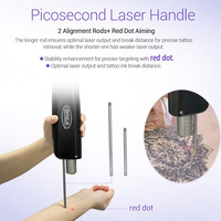 Appareil professionnel 2-en-1 : laser Pico pour l'élimination des tatouages et laser diode 808nm Ice pour l'épilation, avec 9 langues en option