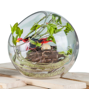 Plant <span class=keywords><strong>Terrarium</strong></span> Display Glas Tischplatte Sukkulente Luft Pflanze Pflanzer <span class=keywords><strong>Terrarium</strong></span> - Product Image 1
