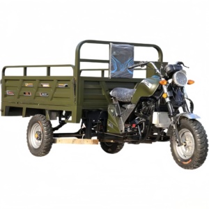 Triciclo Eléctrico Híbrido Premium con Motor y Propulsión Solar, 1 Año de Garantía, para Movilidad Ecológica de Pasajeros - Product Image 4