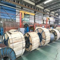 Câble à fibres optiques DENIXI Performance Durable OPGW en acier gainé d'aluminium avec protection contre la foudre