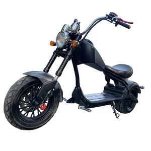 Motocicleta Todoterreno de 2000W - Product Image 1