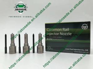 Common Rail Diesel LIWEI Düsen G3S74 G3S77 G3S78 Präzisions-Einspritz düsen Hochwertiger Edelstahl-Dieselmotor - Product Image 4